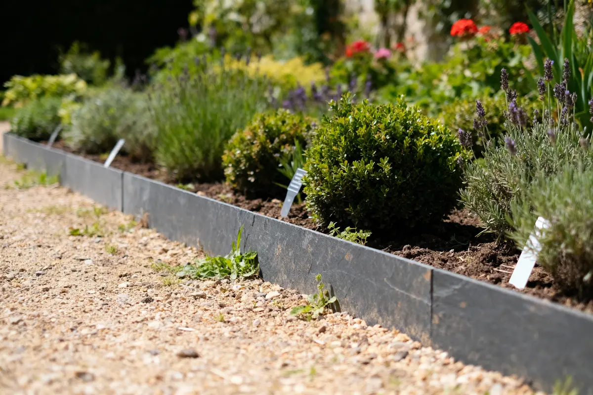 Rangée de plantes aromatiques et fleuries, bordée d'une bordure noire, avec débris de gravier au premier plan.