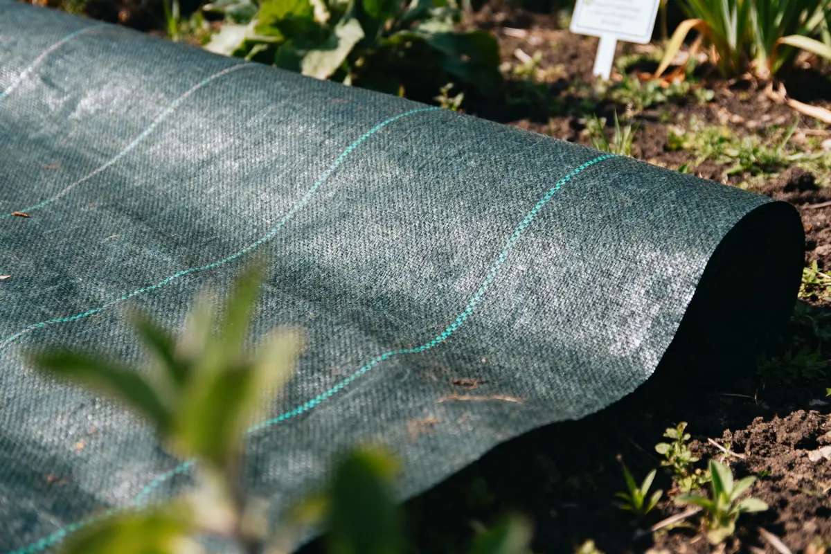 Tissu de paillis de jardin noir avec des lignes vertes, posé sur la terre, entouré de plantes.