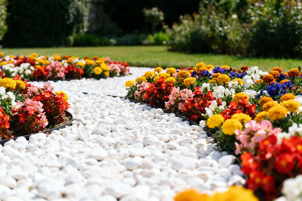 Jardin coloré avec des fleurs variées entourant un chemin de gravier blanc. Verdure en arrière-plan, ambiance ensoleillée.