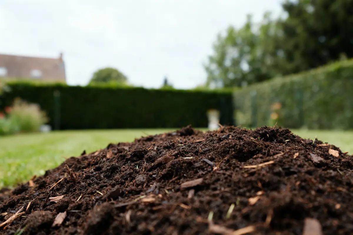 Monticule de terre foncée au premier plan, jardin verdoyant en arrière-plan avec haies bien taillées et ciel nuageux.
