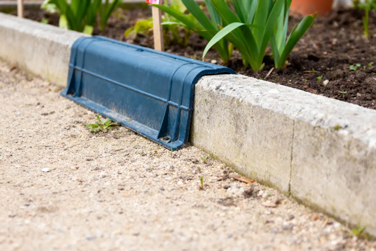 Pavé en béton avec protection bleue, séparant allée et plantes vertes dans un jardin.