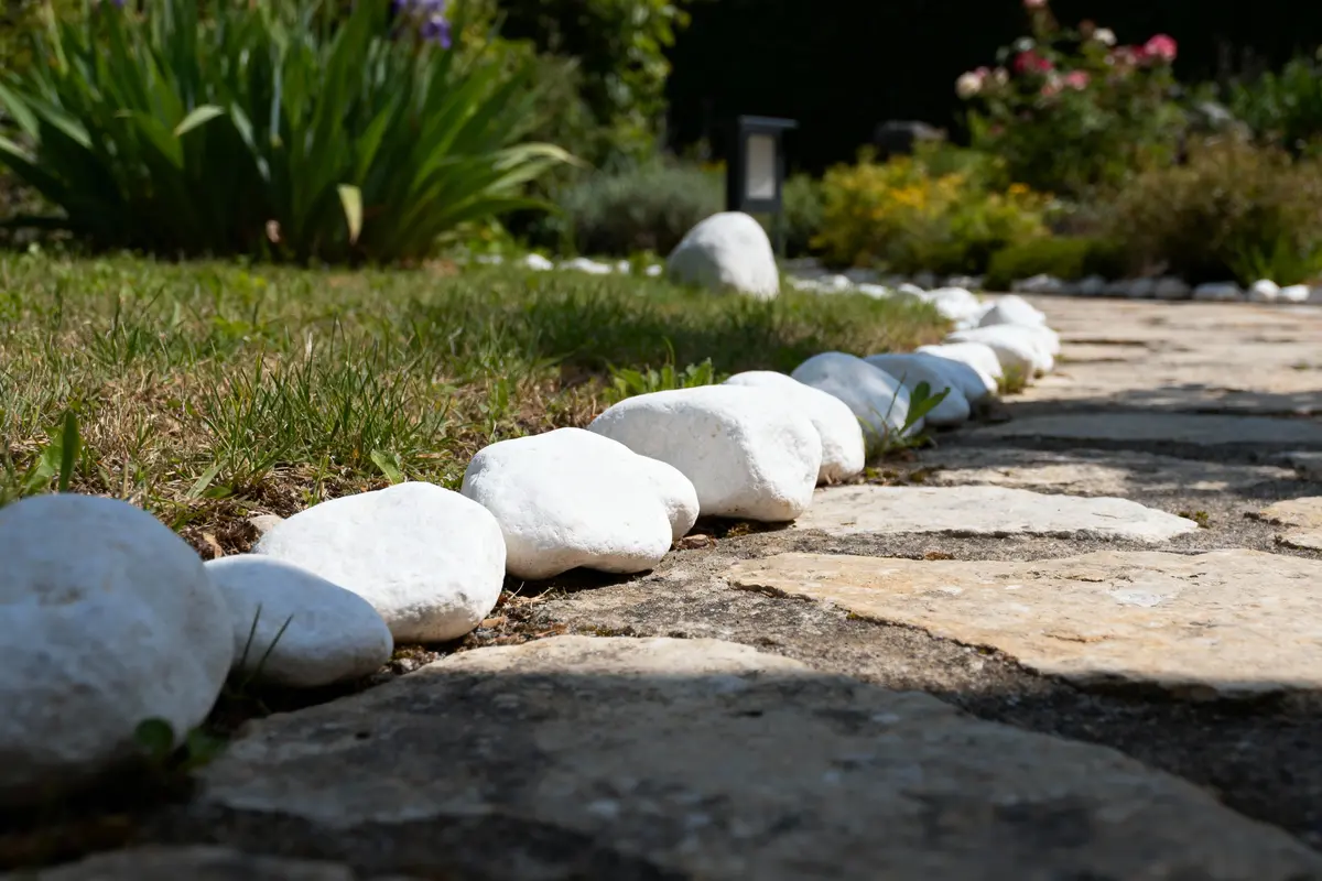 Sentier de jardin avec pierres blanches et plantes vertes luxuriantes en arrière-plan.