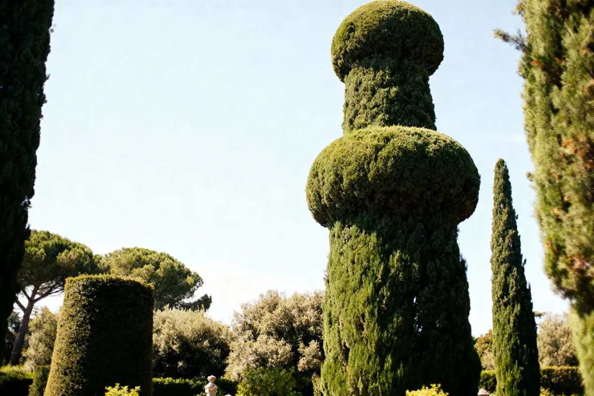 Topiaires artistiques de cyprès taillés dans un jardin, avec ciel bleu et arbres environnants.