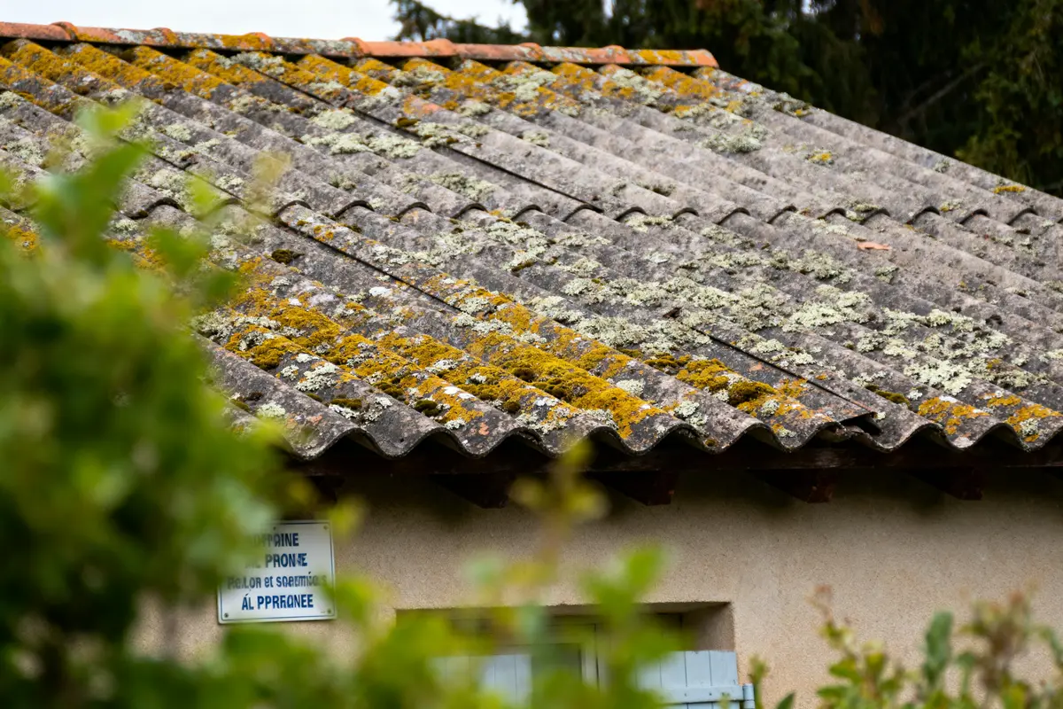 Toit en tuiles ondulées couvert de mousse et de lichen, avec feuillage flou au premier plan.