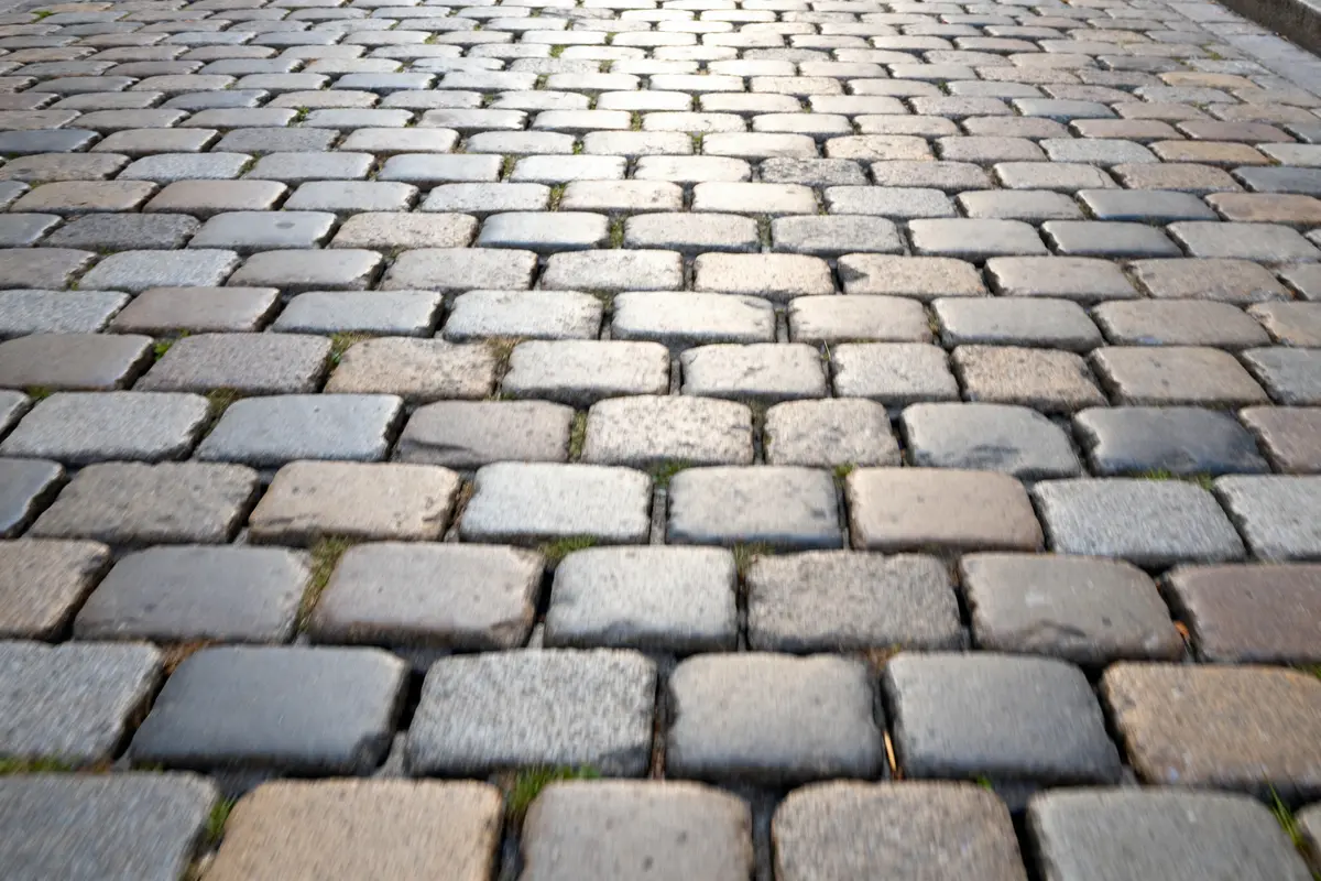 Vue de près d'un sol en autobloquant pave avec jointures herbeuses