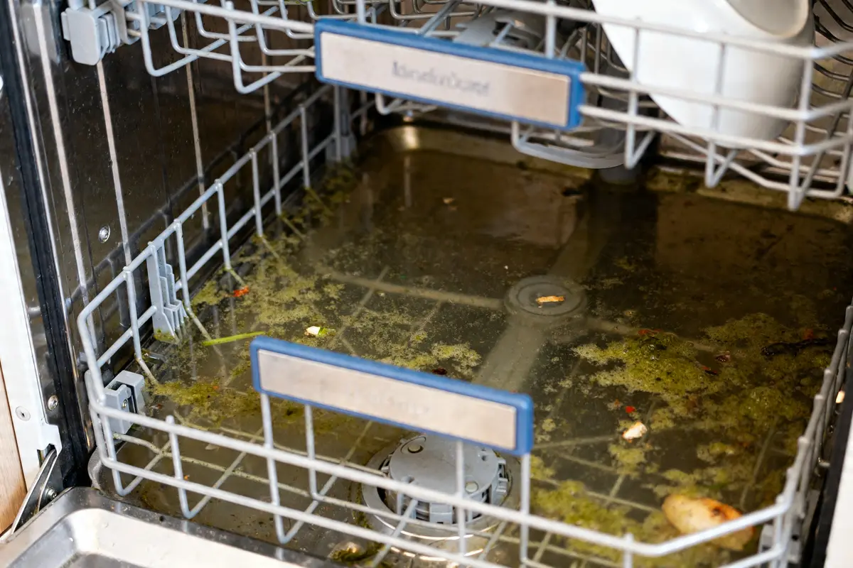 Lave vaisselle bouché avec eau stagnante et résidus alimentaires au fond du compartiment