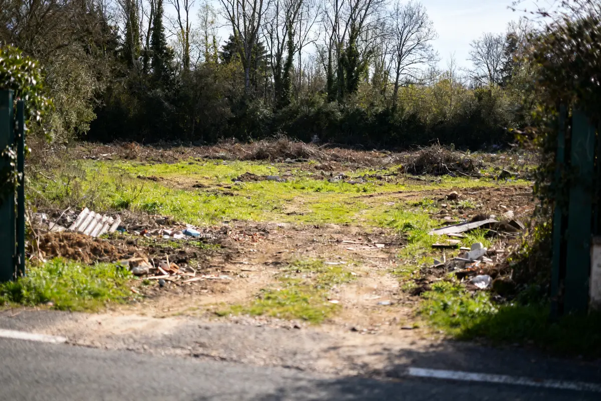 Terrain à viabiliser entouré d'arbres avec débris au sol prix pour viabiliser un terrain
