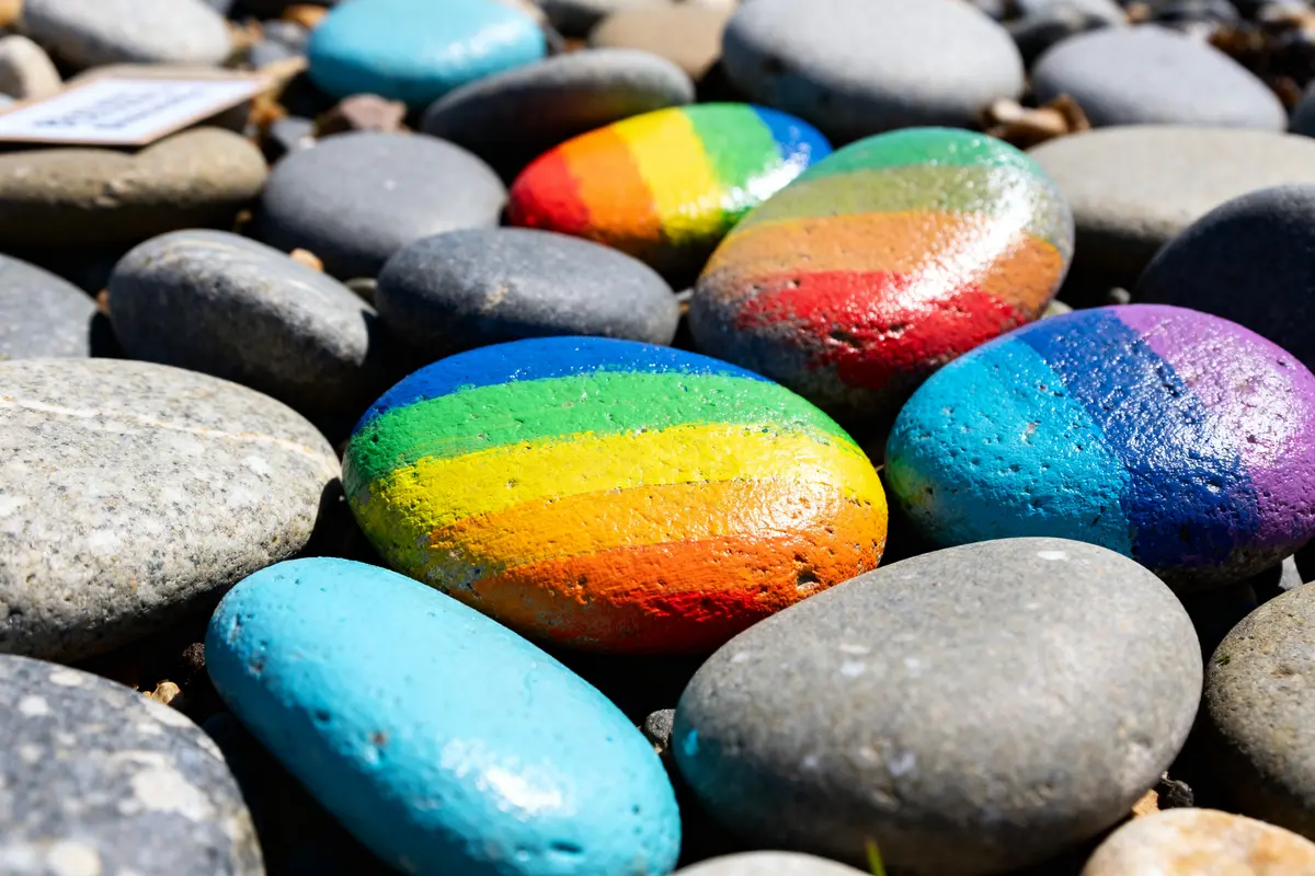 Peinture sur galets : Guide zen et créatif pour décorer facilement