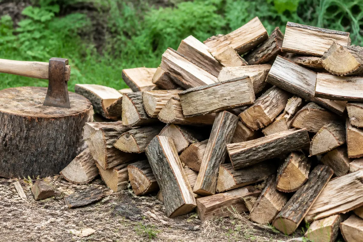 Albizia comme bois de chauffage : Bonne ou mauvaise idée ?