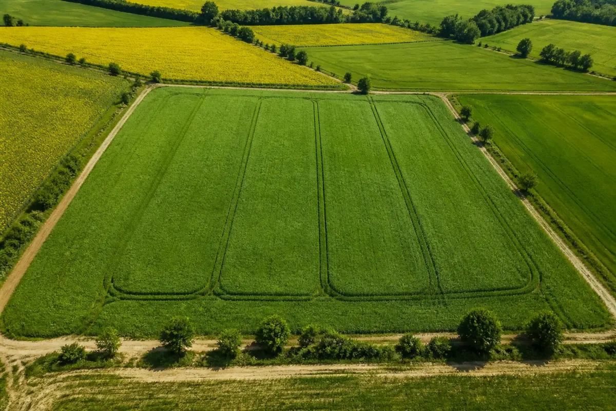 Hectare unit : définition, conversion et usages clés